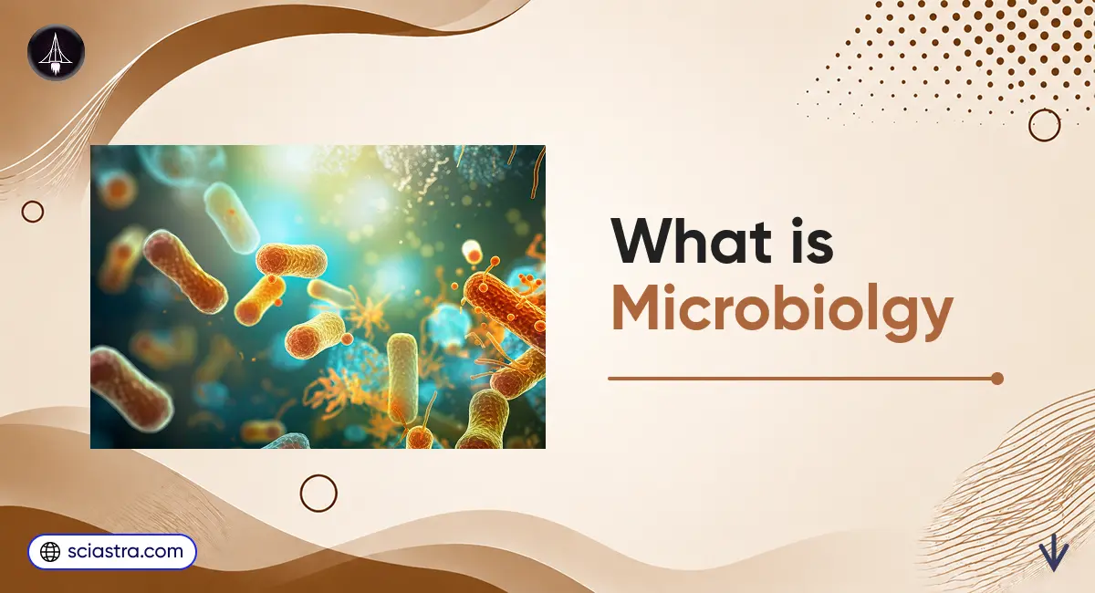 What is Microbiology: Definition, Application Areas, Importance, Career Options