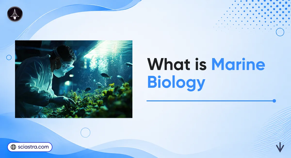 What is Marine Biology