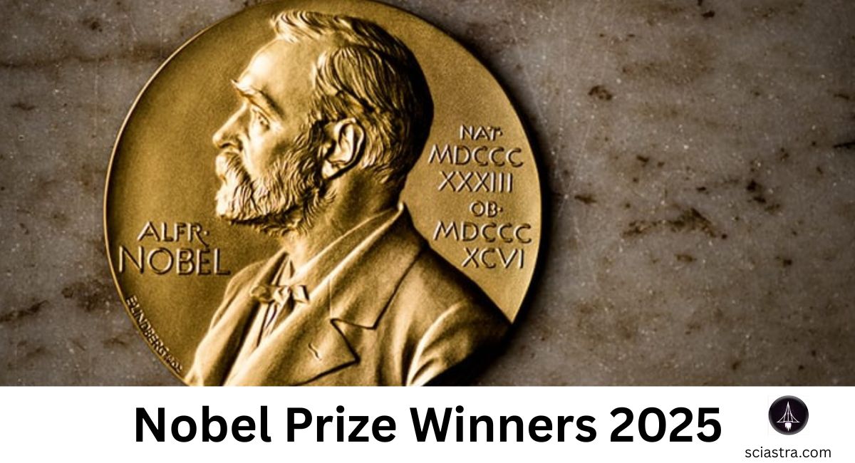 Nobel Prize Winners 2025: Physics, Chemistry, Physiology/Medicine, Peace & Economics