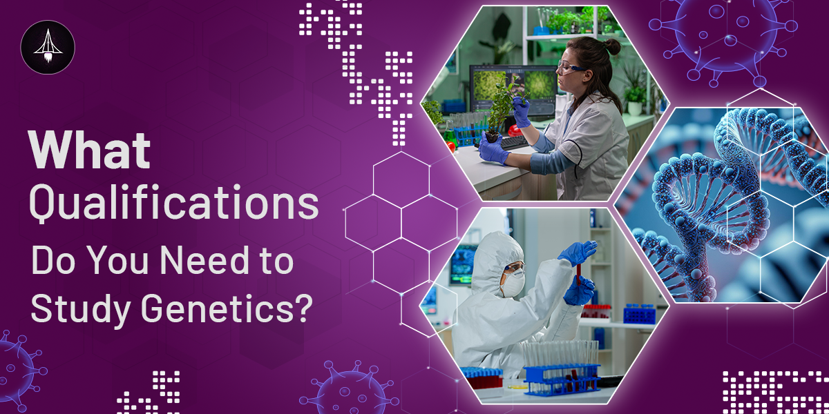 What qualifications do you need to study Genetics?